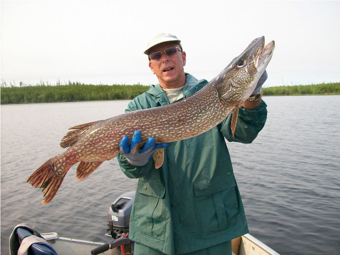 Cormorant Lake The Pas Manitoba Canadian Pike Walleye Fishing
